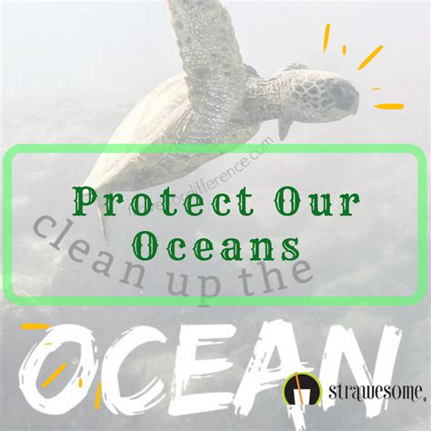 Protect Our Oceans Ocean Movie Posters Movies