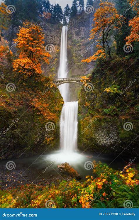 Multnomah Falls In Autumn Colors Stock Photo Image Of Falls Yellow