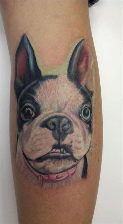 Sweet Boston Terrier Tattoo Dog Tattoo Boston Terrier Tattoo Boston Art