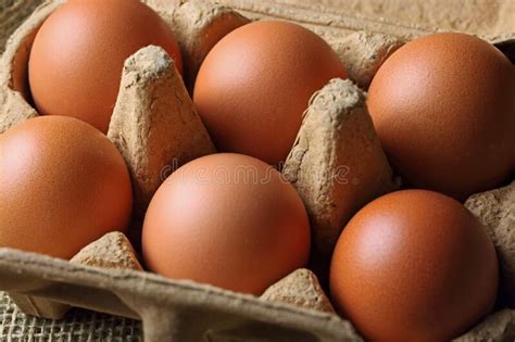 Half Dozen Brown Eggs With Focus On Back Egg Stock Image Image Of