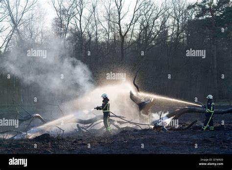 Two Firefighters Are Trying To Extinguish A Forest Fire Stock Photo Alamy