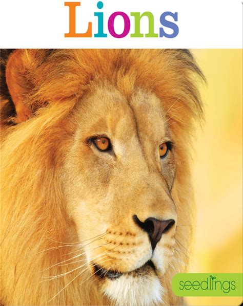 Lions Childrens Book By Kate Riggs Discover Childrens Books