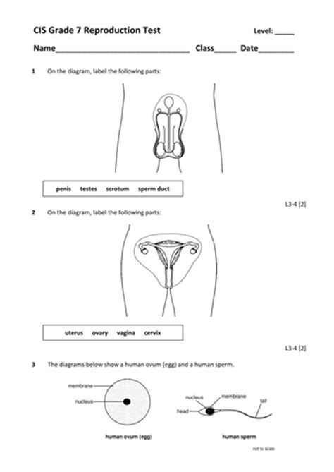 Reproduction Target Sheet Questions And Test Ks3 Teaching Resources