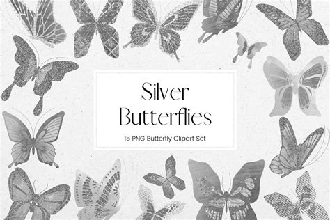 Silver Butterfly Clipart Creative Market