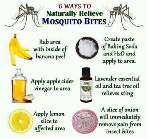 Mosquito Bite Relief Natural Mosquito Bite Remedy Remedies For