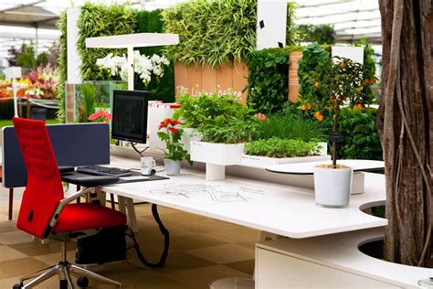 25 Awe Office Plants Interior Design Ideas 13 Is Damn