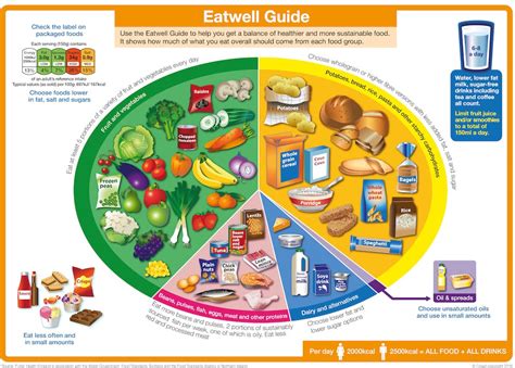 How Reliable Is The Eatwell Guide The Official Chart Of What Foods You