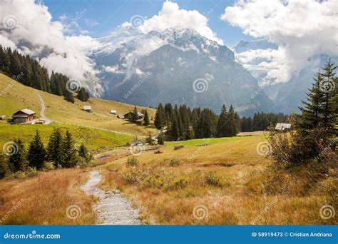 Mountain Peaks Streams And Meadows In Grindelwald Switzerland Stock