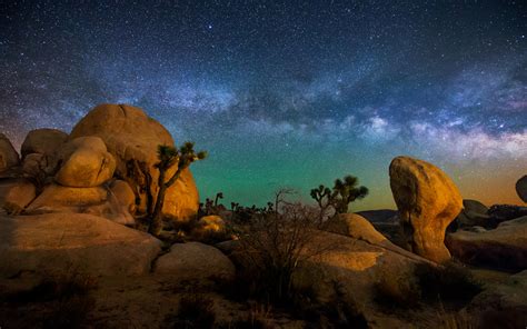 Joshua Tree Hd Wallpapers And Backgrounds