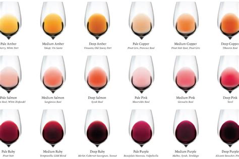 Wine Colour Chart Wine Colour Explained