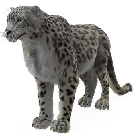 Snow Leopard Fur 3d Model