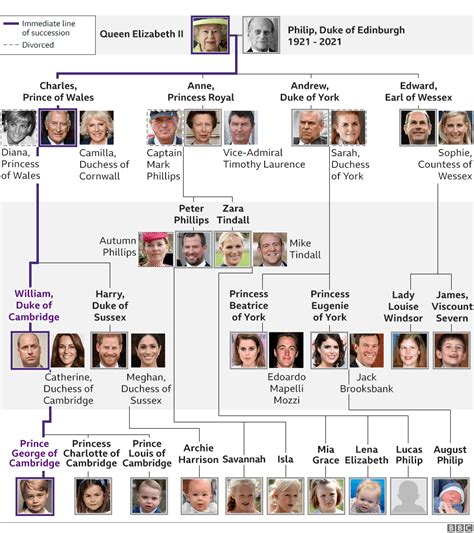(from left) prince charles, queen elizabeth, princess margaret, the duke of edinburgh, king george vi, and princess elizabeth. Royal Family tree and line of succession - BBC News