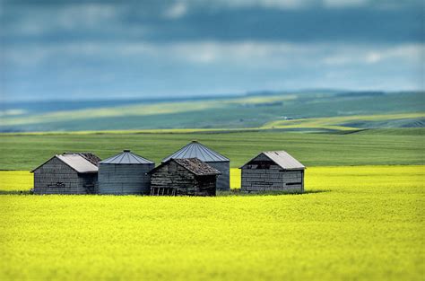This Is Alberta No15 Prairie Barns Photograph By Paul W Sharpe Aka