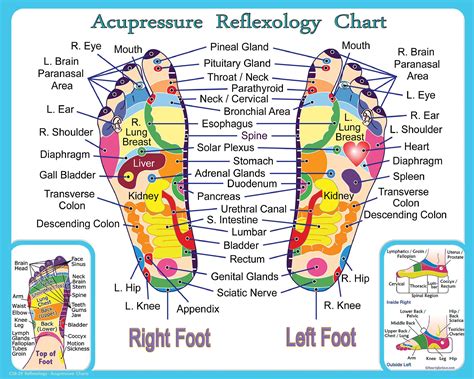 Reflexology And Acupressure Chart For The Feet Print 8x10 Etsy