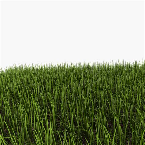 Grass Texture 3d Model
