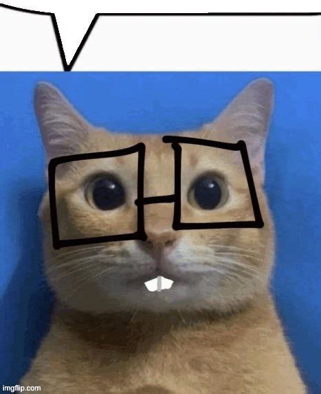 nerd cat memes imgflip