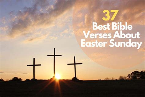 37 Best Bible Verses About Easter Sunday