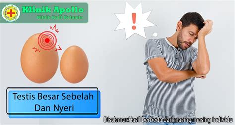 Testis Besar Sebelah Dan Disertai Nyeri Atasi Dengan Cara Ini