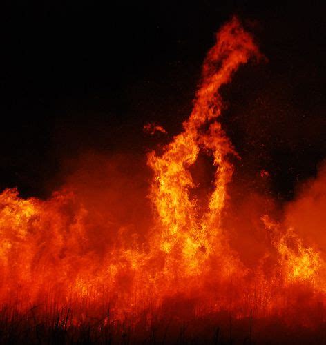 Pin By Saffiyah Alexis On OheŇ Heats And Burnet Fire Tornado