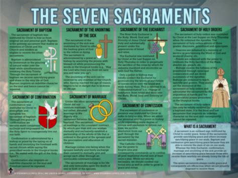 The Seven Sacraments Explained Poster - Catholic to the Max - Online