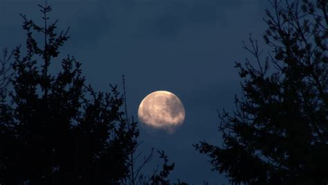 Luminous Full Moon Rising Over Trees Stock Footage Video 2485067