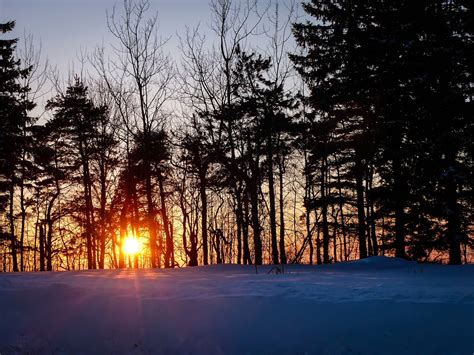 Gales Photo And Birding Blog Winter Woods At Sunset