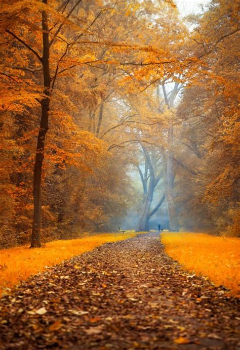 Pin By Cheryl Farnsworth On Doğa Nature Autumn Scenery Autumn Scenes