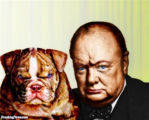 Why Was Winston Churchill Called The British Bulldog Quora