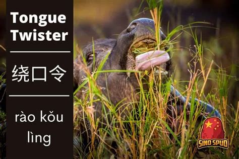 25 Mandarin Chinese Tongue Twisters To Practice Pronunciation
