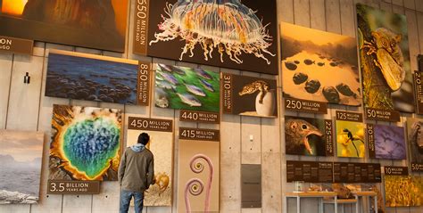 Kimball Natural History Museum San Francisco Ca