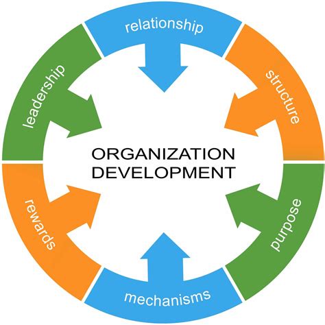 Organizational Development Definition Uses And Techniques