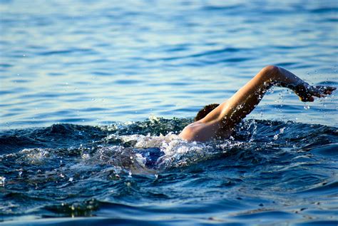 Swimming Man In Ocean Water John O Leary