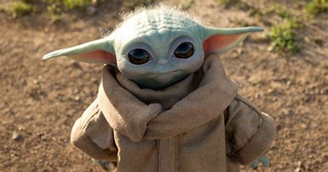 Baby Yoda Espèce Origine Pouvoirs Tout Ce Quil Faut Savoir Sur