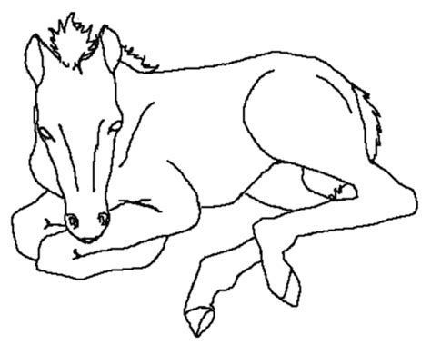 Animal coloring pages for kids. Fun Horse Coloring Pages for Your Kids Printable