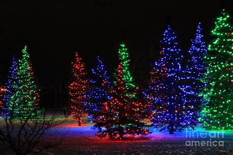 Christmas Tree Lights Photograph By Helen Bobis