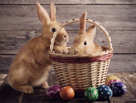 Rabbits With Easter Eggs Stock Image Image Of Beauty 84165787