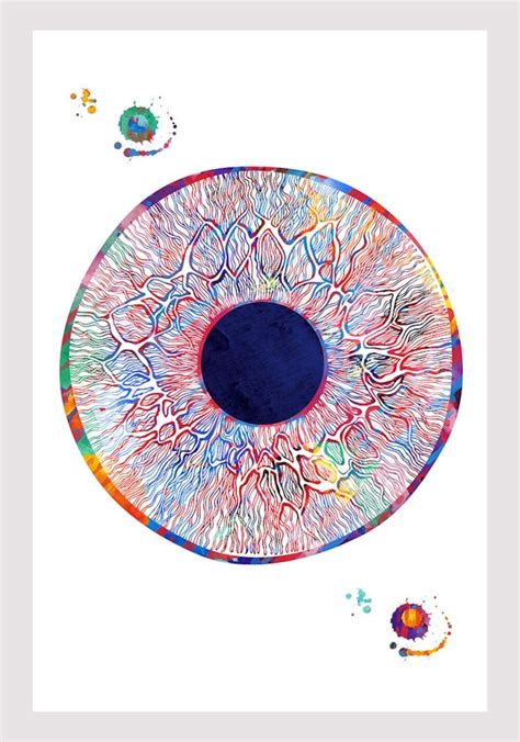 Eye Anatomy Art Watercolor Human Iris And Pupil Structure Etsy