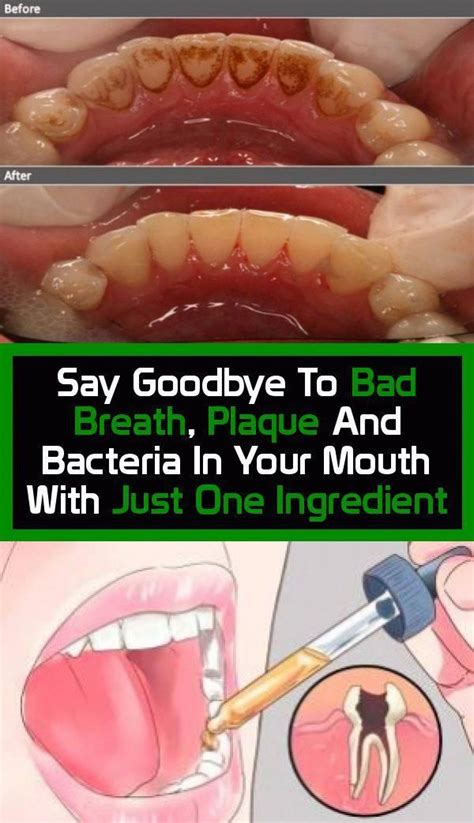 say goodbye to bad breath plaque and bacteria in your mouth with just one ingredient in 2020