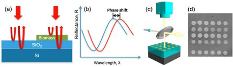 Sensors | Free Full-Text | Interferometric Reflectance ...