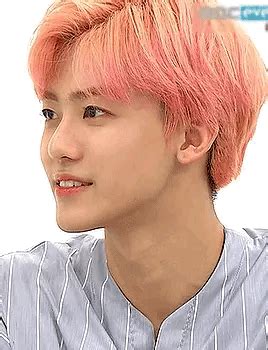 Discover and share the best gifs on tenor. Pin by Sungshine on NCT | Nct dream jaemin, Nct, Perfect smile