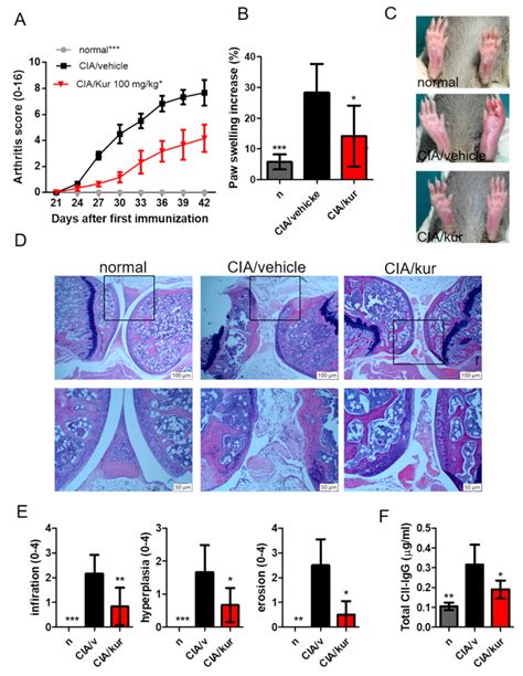 Ijms Free Full Text Kurarinone Attenuates Collagen Induced