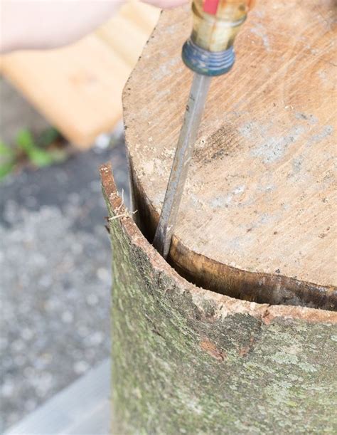 How To Make A Tree Stump Table Tree Stump Side Table Diy Side Table