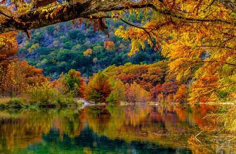 The Best Fall Foliage Spot In Your State