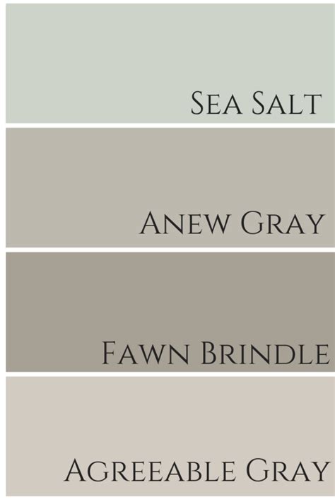 Agreeable Gray Complementary Colors