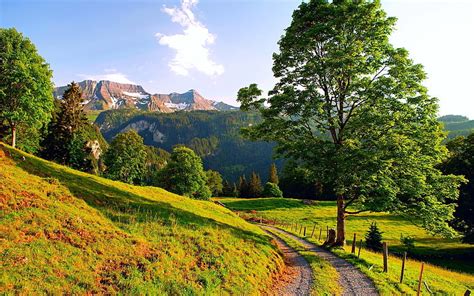 Sunny Mountain Path Landscape Hd Wallpaper Peakpx