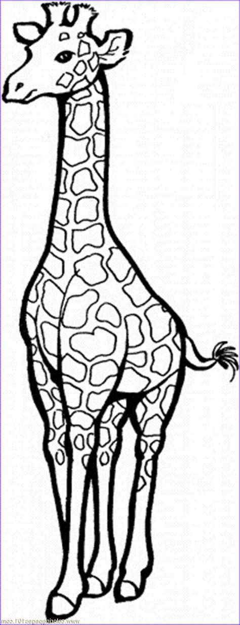 Coloring Pages Of Elephants And Giraffes Giraffe Eating