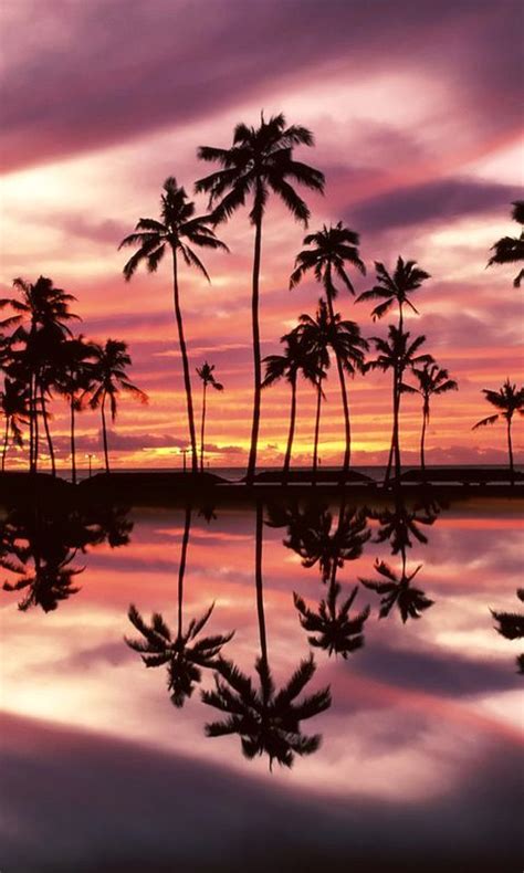 Sunset Over Ala Moana Beach Park Honolulu Oahu Hawaii Tap To See More