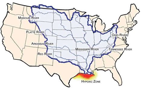 Mississippi Watershed And Hypoxic Zone In Gulf Of Mexico An Image In