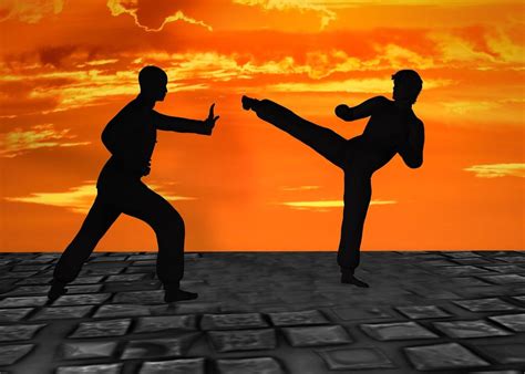 Le Kung Fu Shaolin Un Art Martial Ancestral Blog Odysway Odysway