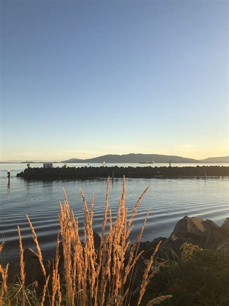 Wind, wave and weather forecasts for sailors and adventurers. Take a stroll along Bellingham's Marina